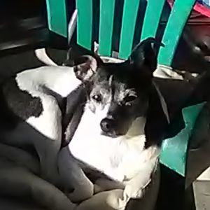 Meet your Posher, Renee